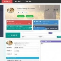 最新在线财务记账系统网站源码